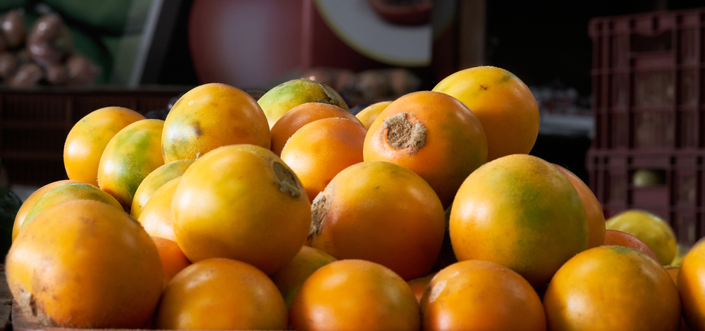 Thani-Naranjilla